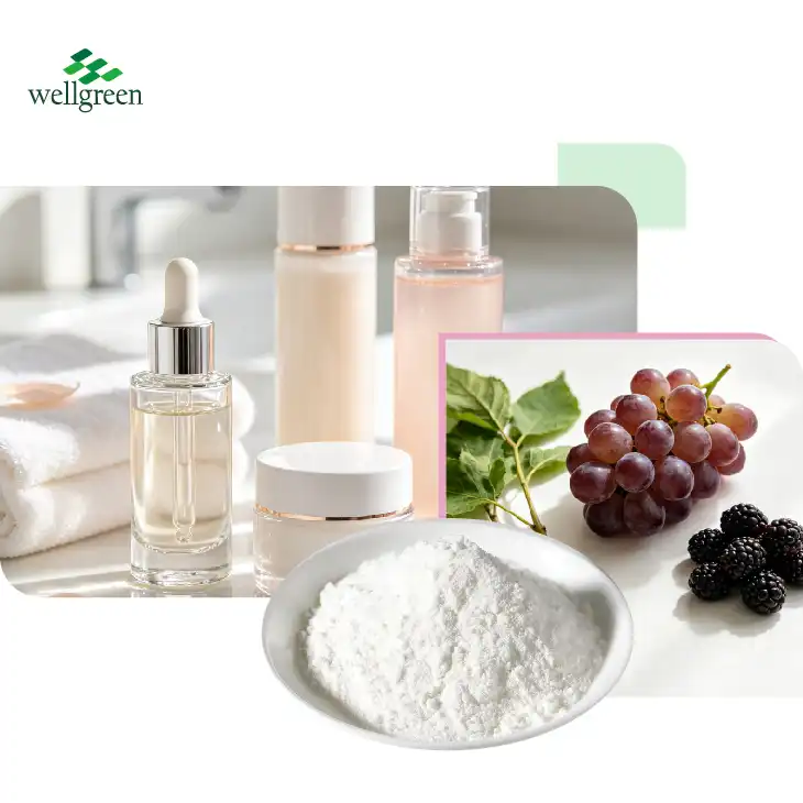 Trans-Resveratrol Powder 98%